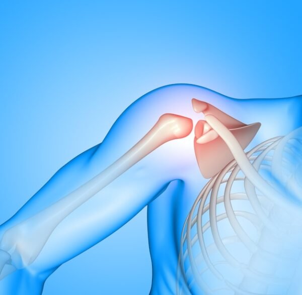 Humerus Single (AP/LAT)