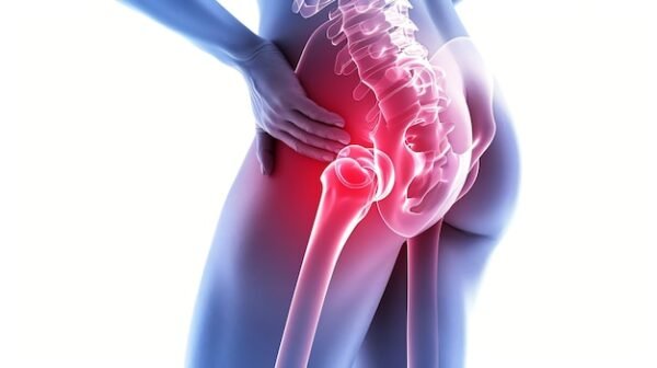 Hip Joint Single