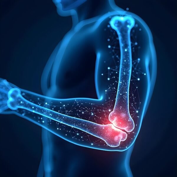 Elbow Joint Single (AP/LAT)